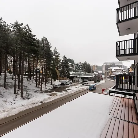 Magi * Zlatibor